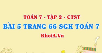 Bài 5 trang 66 SGK Toán 7 Tập 2 Chân trời sáng tạo